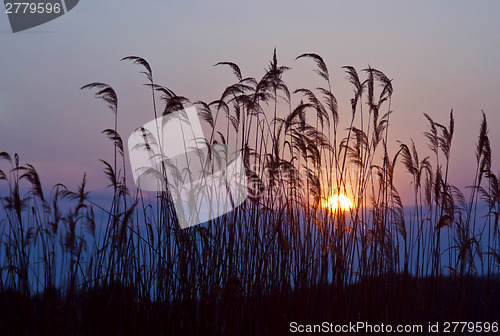 Image of Sunset