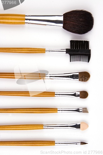 Image of Cosmetic Brushes