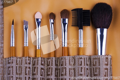 Image of Cosmetic Brushes