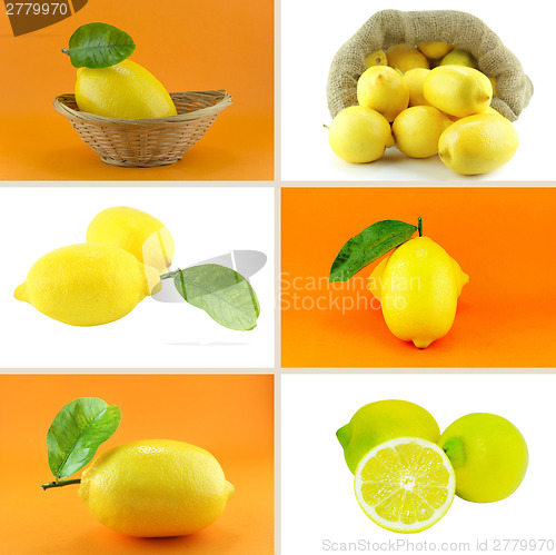 Image of Healthy and organic food concept