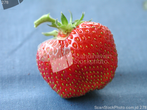 Image of Strawberry