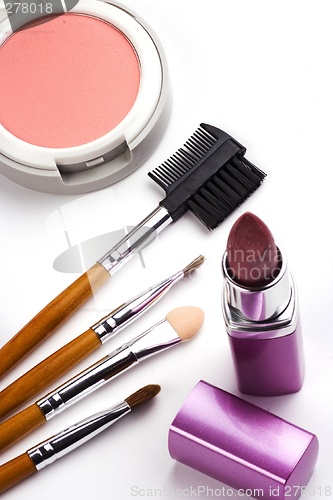 Image of Cosmetic Accessories