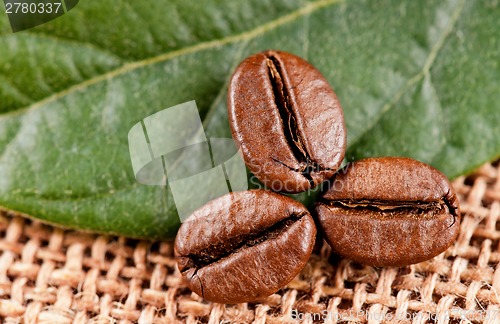 Image of Coffee beans