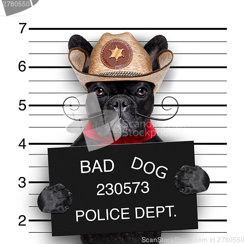 Image of mexican mugshot dog