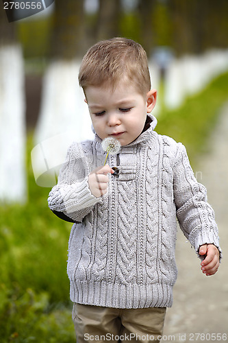 Image of 2 years old Baby boy with dandelion