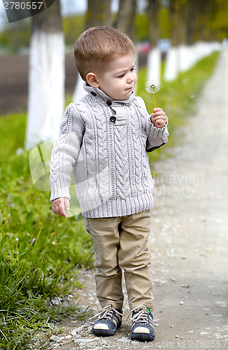 Image of 2 years old Baby boy with dandelion