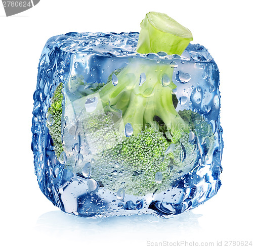 Image of Broccoli in ice cube