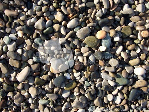 Image of wet pebbles on the beach of the Black Sea2