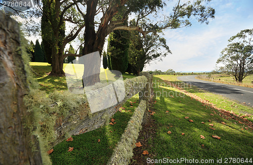 Image of Beautiful lichen covered fence in the Southern Highlands