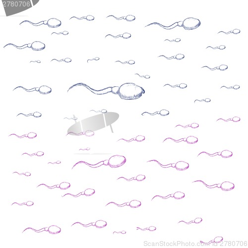 Image of Illustration of sperm