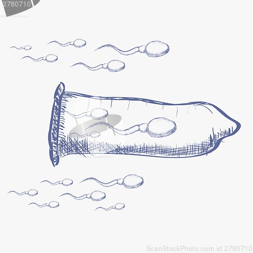 Image of Illustration of condom