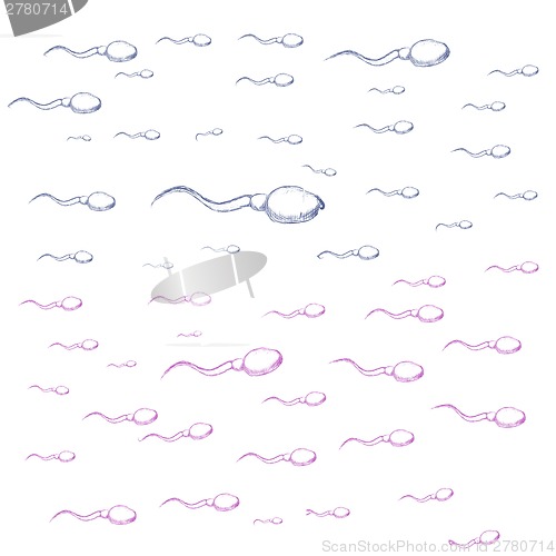 Image of Illustration of sperm