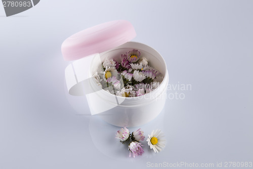 Image of Daisies in cosmetic cream box