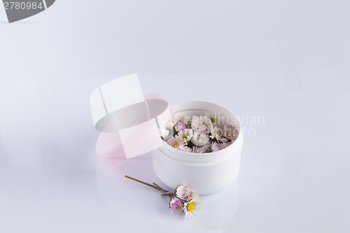 Image of Daisies in cosmetic cream box
