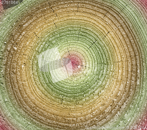 Image of Close-up wooden texture, colored