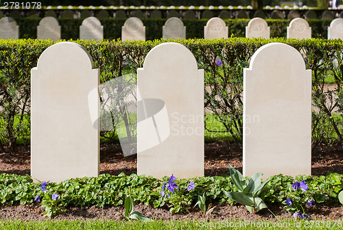 Image of Rows of tombstones