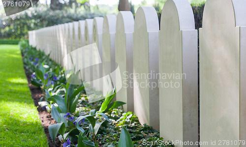 Image of Rows of tombstones