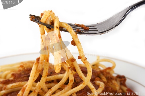 Image of Spaghetti