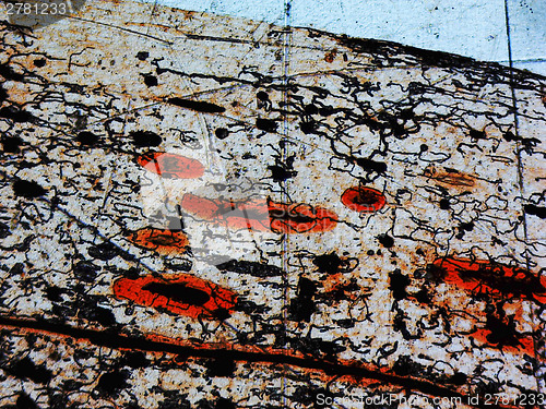 Image of Destroyed cells