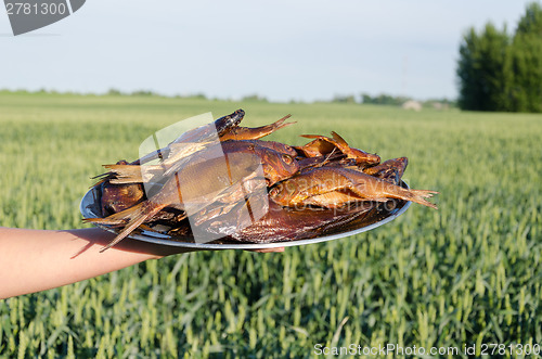 Image of woman hand holds tray with organic smoked fish