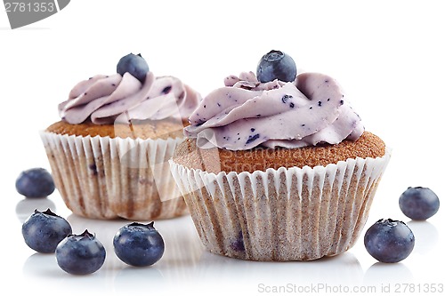 Image of blueberry cupcakes