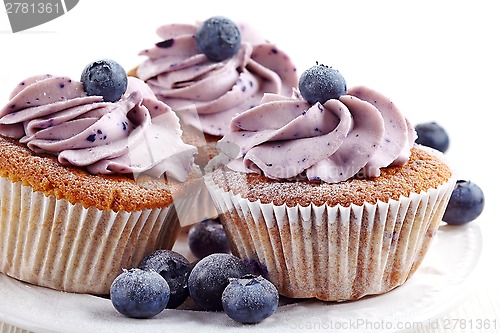 Image of blueberry cupcakes