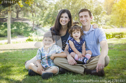 Image of Attractive Young Mixed Race Family Park Portrait