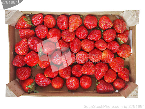 Image of Strawberries fruits