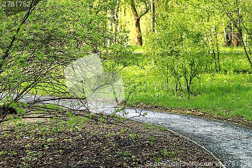 Image of Moscow Park Sokolniki