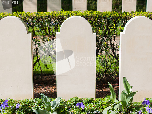 Image of Rows of tombstones