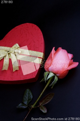 Image of Pink Rose With Gift Box