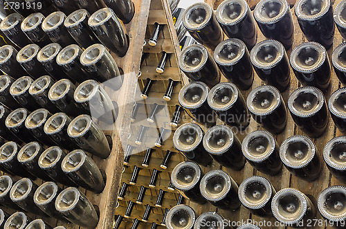 Image of Collection sparkling wines aging in the rack