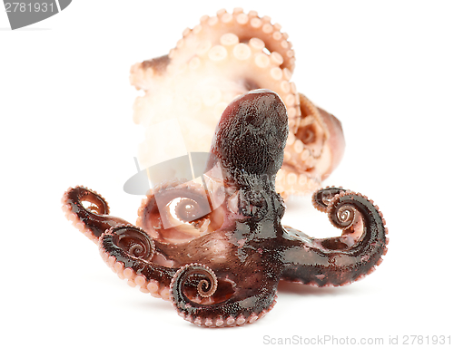 Image of Smoked Octopuses