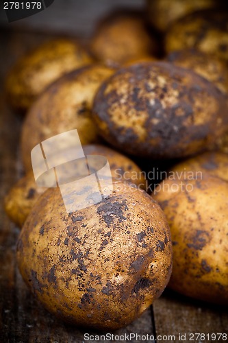 Image of organic potatoes