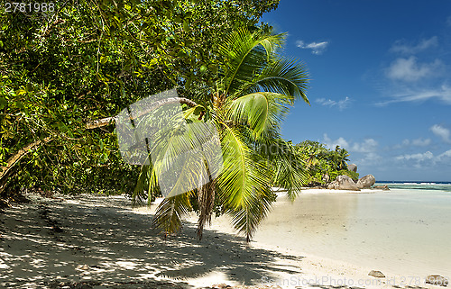 Image of Tropical beach