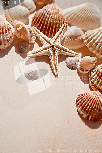 Image of sea shells and star 