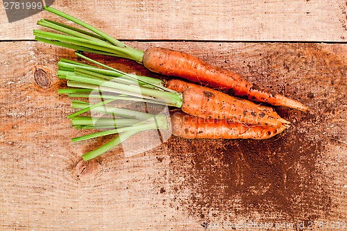 Image of fresh carrots bunch