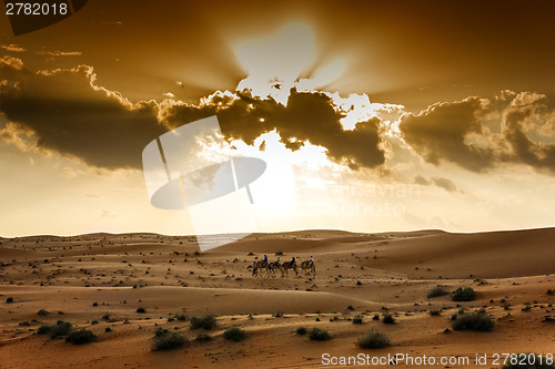 Image of Desert Wahiba Oman