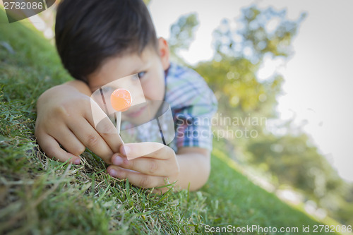 Image of Young Boy Enjoying His Lollipop Outdoors Laying on Grass