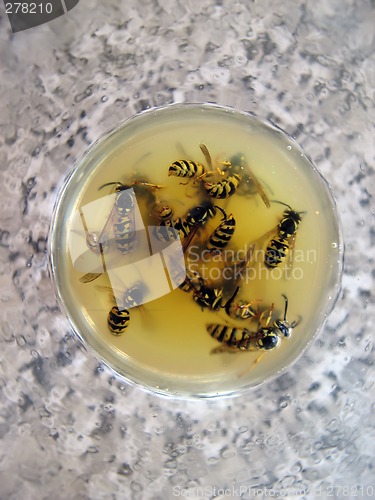 Image of Cemetery of wasps in a cocktail with orange juice2