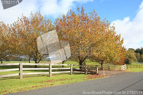 Image of Autumn countryside