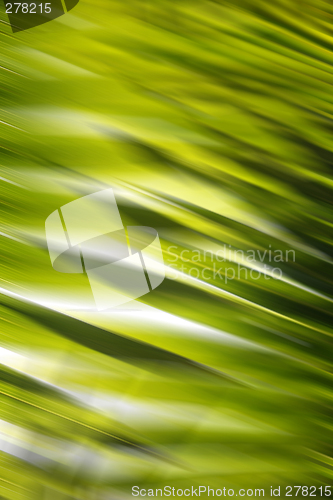 Image of Abstract Forest Background