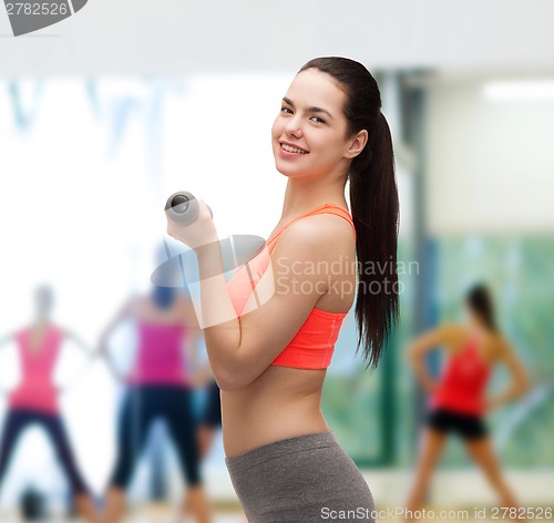 Image of young sporty woman with light dumbbells