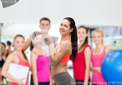 Image of young sporty woman with light dumbbells