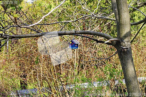 Image of birdhouse, a home for birds