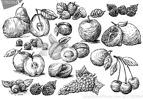 Image of fruit