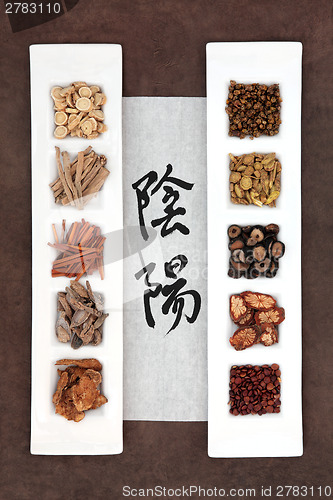 Image of Yin and Yang Herbal Medicine