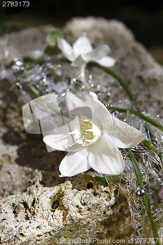 Image of Bridal bouquet with jasmine