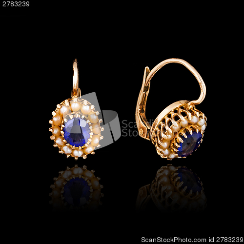 Image of Gold earrings