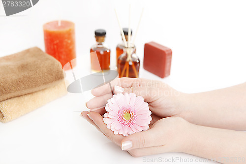 Image of Female hands after manicure